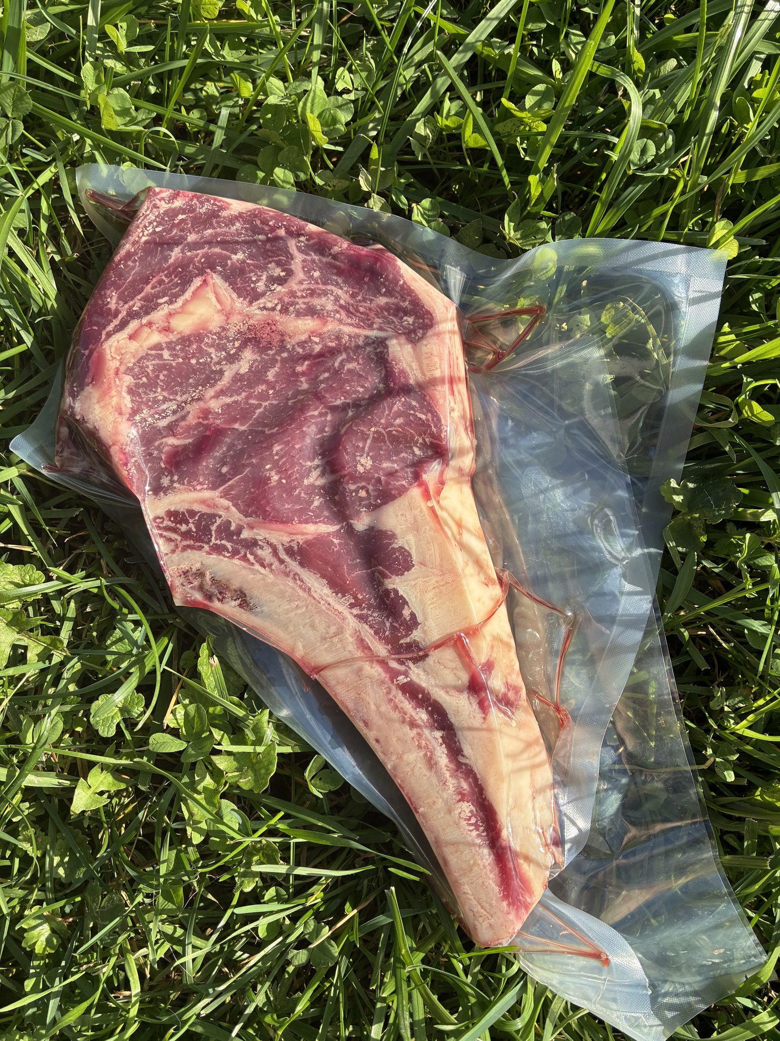 Ribeye kombo