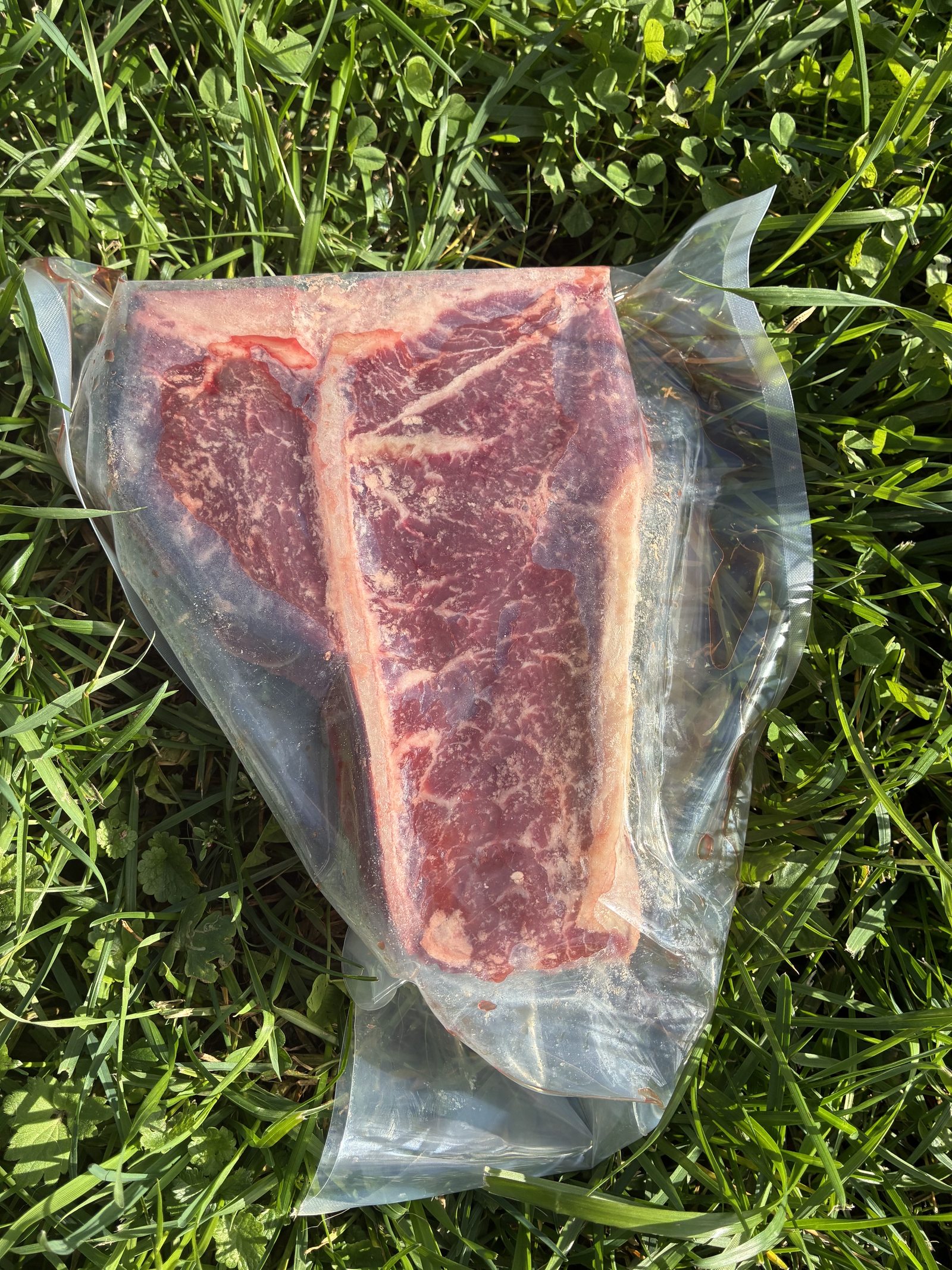 T-bone kombo